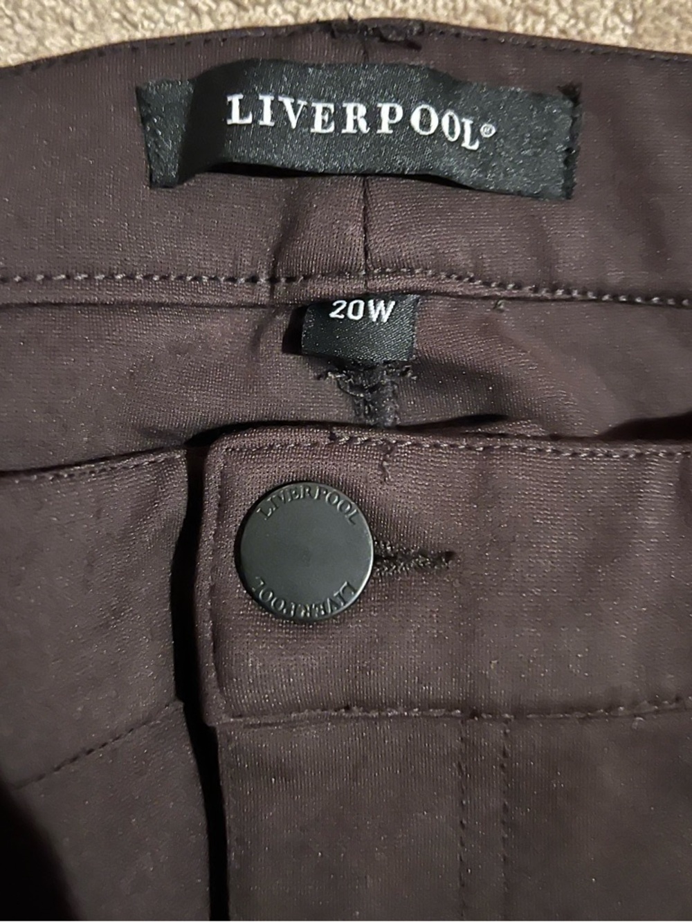 Liverpool Jeans Company Pants in Rich Brown